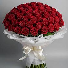 Букет 101 Красная роза Блэк Мэджик #REPLACE_PRED# Новомихайловском