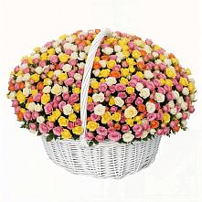 Премиум букет из: Розы в Новомихайловском