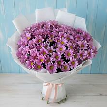 Букет цветов из:  Хризантемы в Новомихайловском