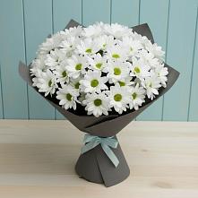 Букет цветов из:  Хризантемы в Новомихайловском