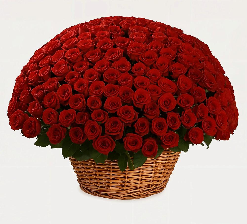 Премиум букет из: Розы в Новомихайловском