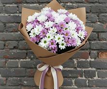 Букет цветов из:  Хризантемы #REPLACE_PRED# Новомихайловском