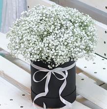 Цветочная композиция из Гипсофила в шляпной коробке #REPLACE_PRED# Новомихайловском