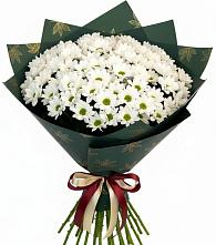 Букет цветов из:  Хризантемы #REPLACE_PRED# Новомихайловском