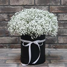 Цветочная композиция из Гипсофила в шляпной коробке в Новомихайловском